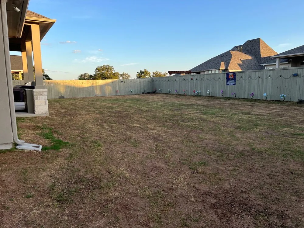 Local lawn care service for outdoor upgrades in Georgetown, TX by Reel Cut Lawn Care