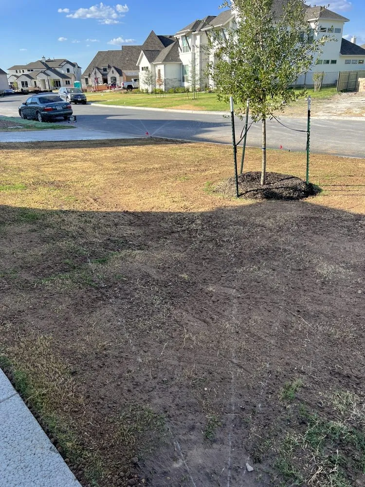 Affordable landscaping services experts serving Georgetown, TX - Reel Cut Lawn Care