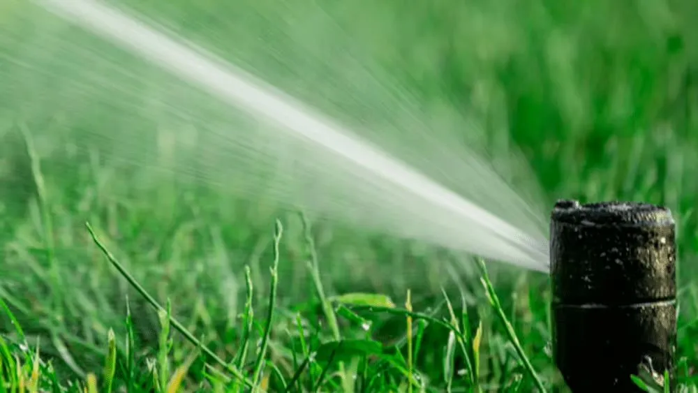 Local landscaping services for homes across Jacksonville, FL - Reel Green Irrigation