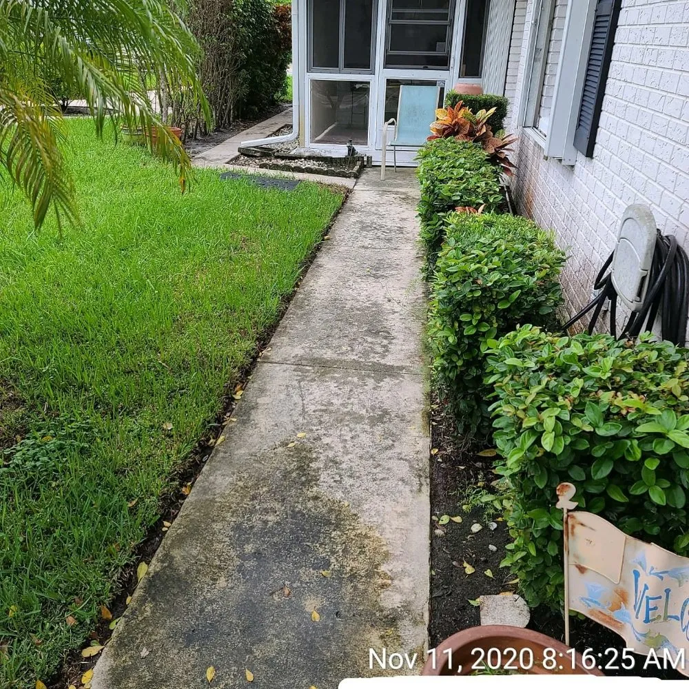 Top-rated residential landscaping in Boynton Beach, FL - Reel Hosepower