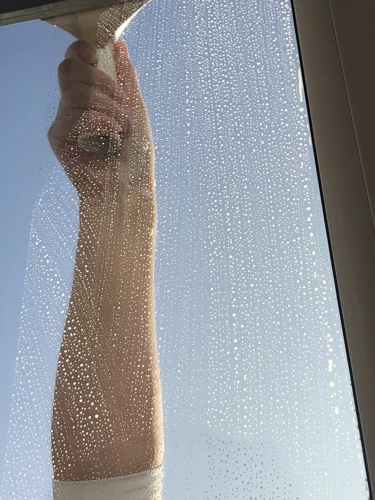 Affordable yard maintenance in Boynton Beach, FL by Reel Hosepower