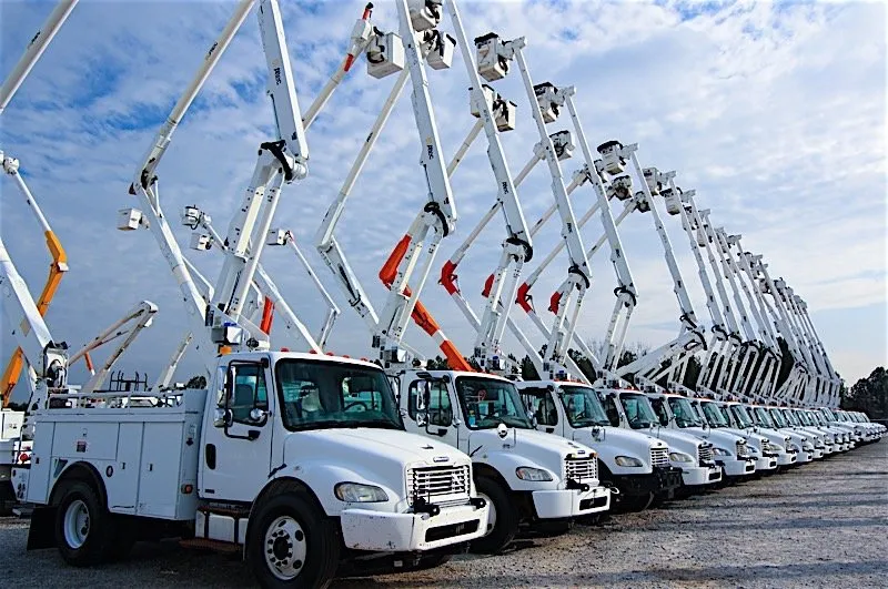 Trusted landscape design for homes across Boynton Beach, FL - Reel Hosepower