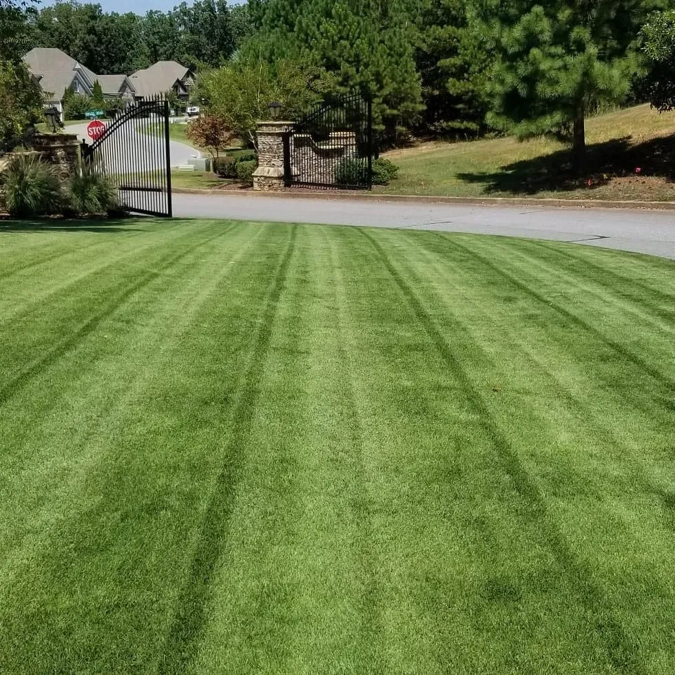 Custom lawn mowing service for year-round maintenance in Cumming, GA by Reel Mowing