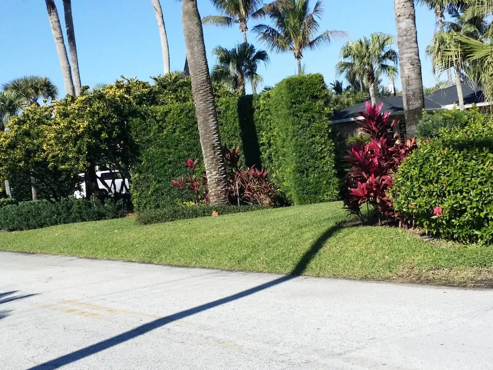 Local residential landscaping in Melbourne, FL by Reel Time Lawncare