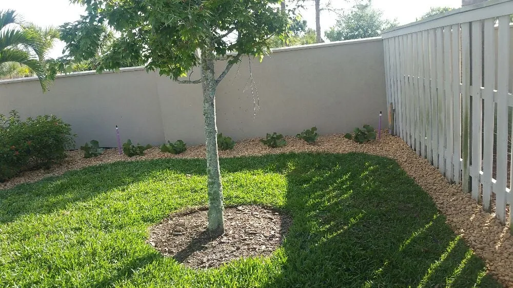 Top-rated lawn care service for beautiful yards in Melbourne, FL by Reel Time Lawncare