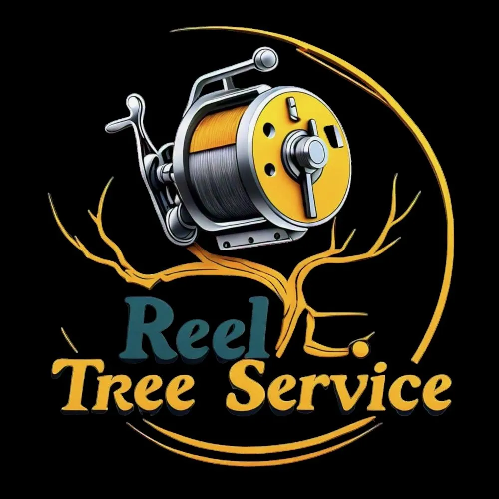 Expert lawn mowing service in Buffalo, NY - Reel Tree Service