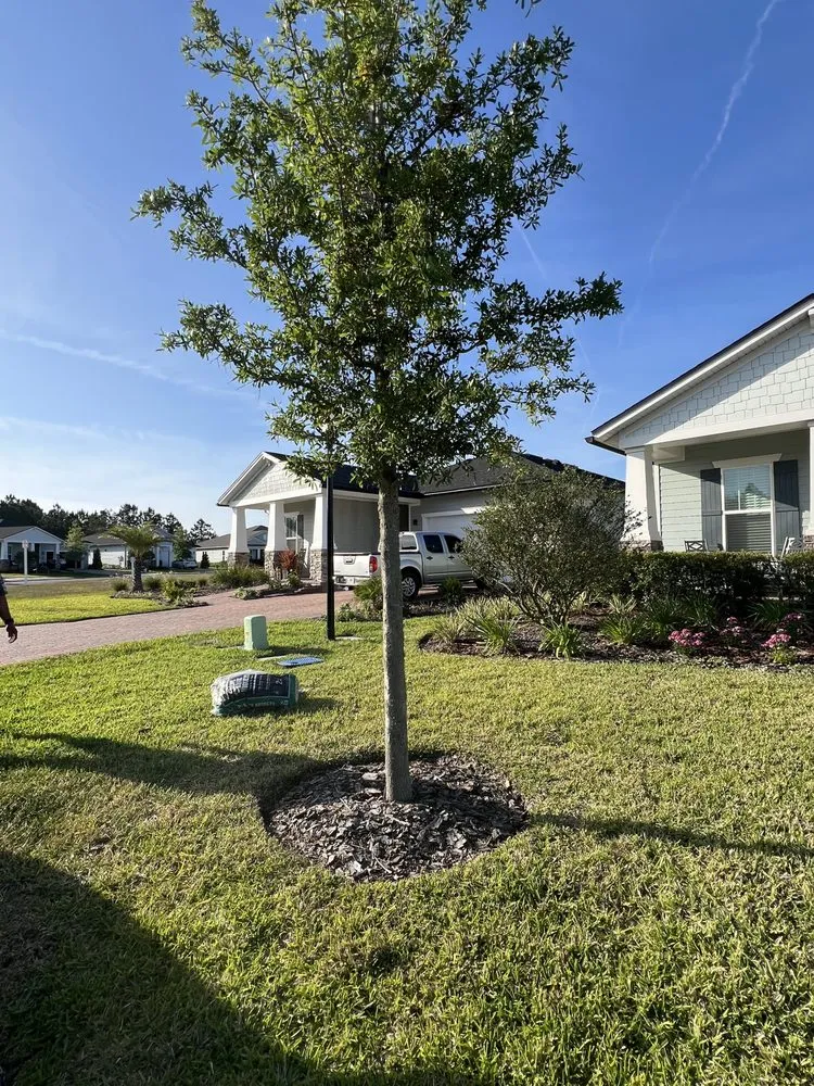 Trusted lawn care service in Palm Coast, FL - ReelDeal Lawn landscaping & more