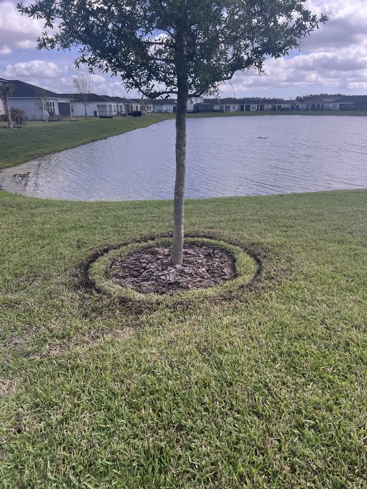 Affordable yard cleanup service experts serving Palm Coast, FL - ReelDeal Lawn landscaping & more