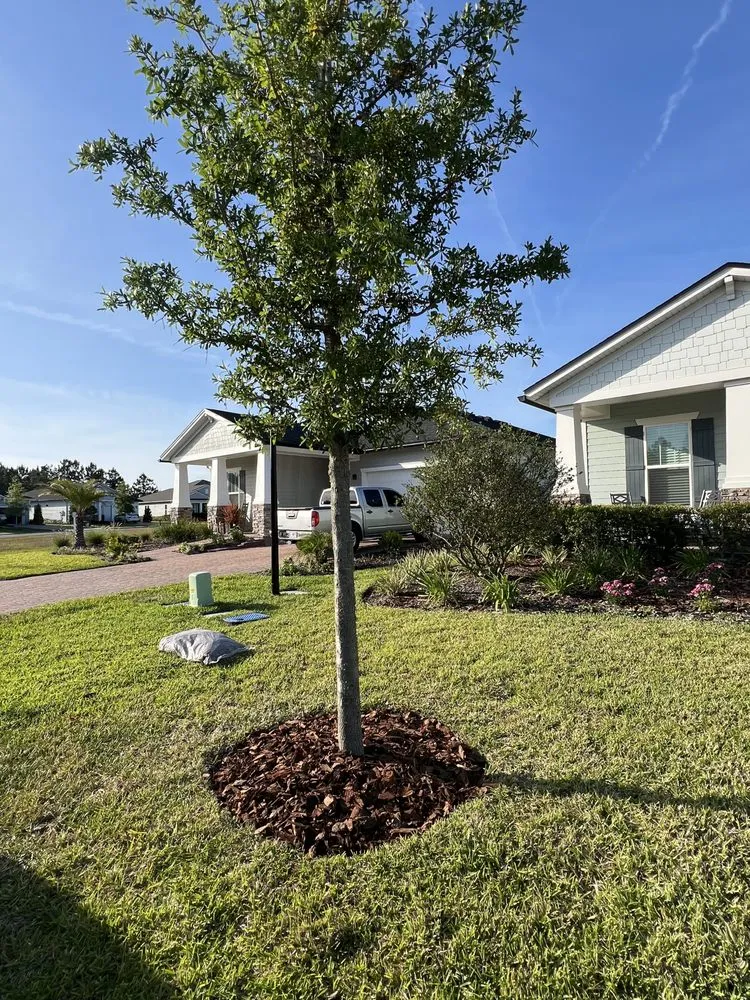 Local lawn mowing service for residential properties in Palm Coast, FL by ReelDeal Lawn landscaping & more