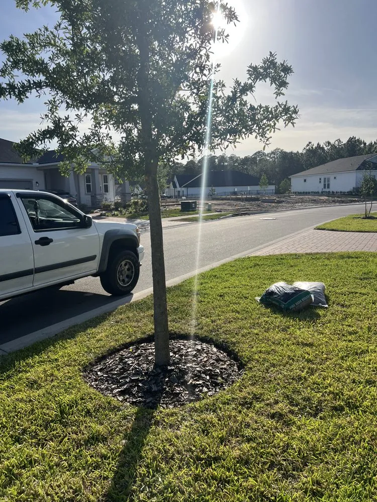 Custom yard cleanup service experts serving Palm Coast, FL - ReelDeal Lawn landscaping & more