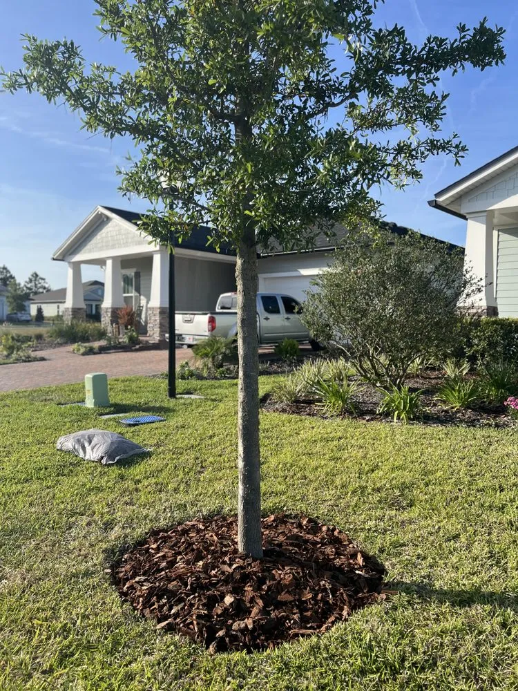 Custom garden landscaping for residential properties across Palm Coast, FL - ReelDeal Lawn landscaping & more