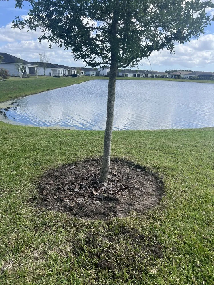 Professional garden landscaping experts serving Palm Coast, FL - ReelDeal Lawn landscaping & more