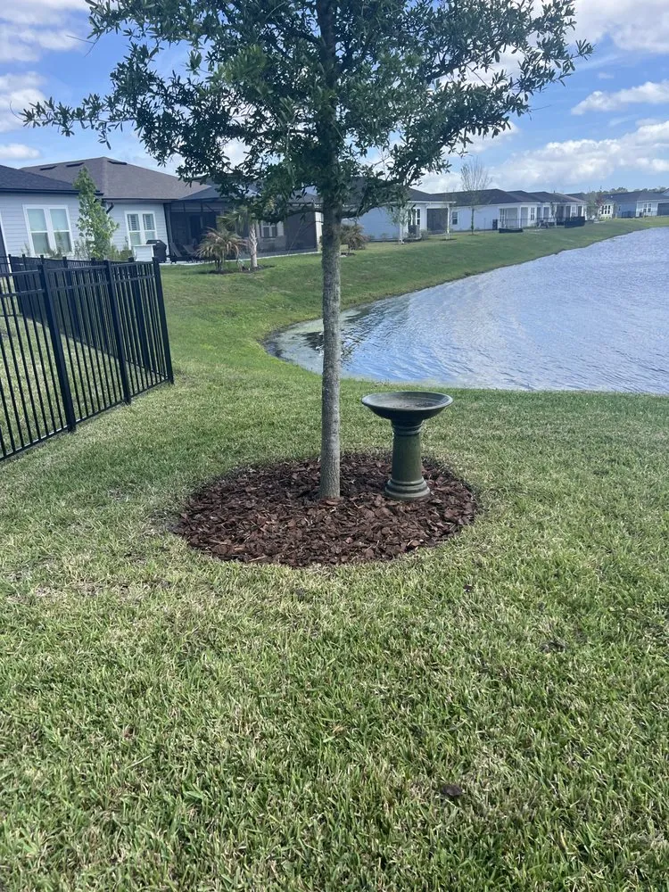 Professional yard cleanup service for year-round maintenance in Palm Coast, FL by ReelDeal Lawn landscaping & more
