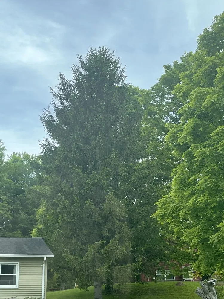 Local landscape installation in Big Flats, NY - Reep's Landscaping & Tree Service