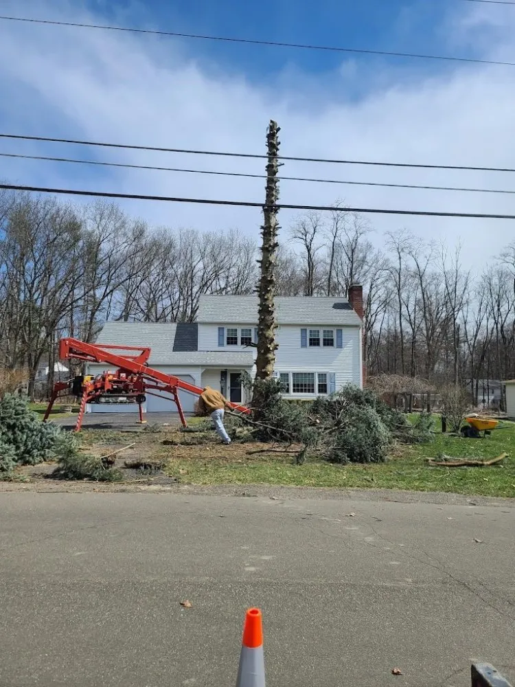 Custom landscaping services in Big Flats, NY by Reep's Landscaping & Tree Service