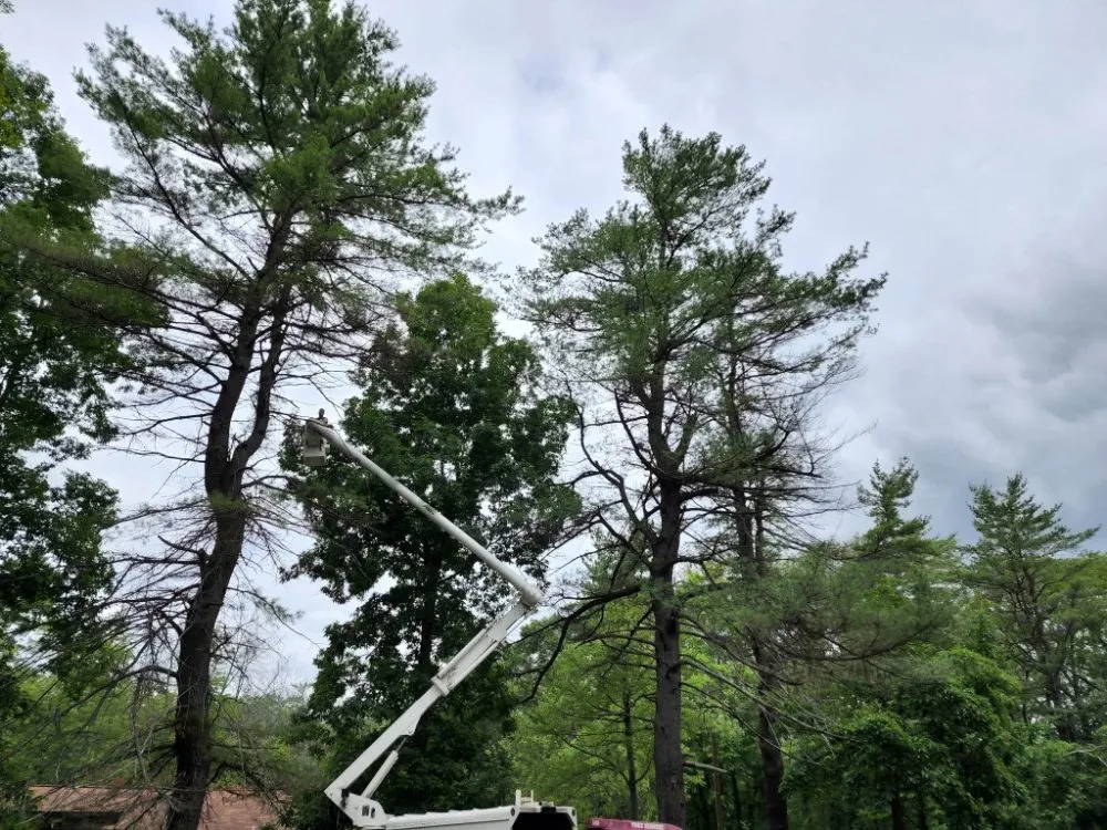 Professional lawn mowing service in Big Flats, NY by Reep's Landscaping & Tree Service