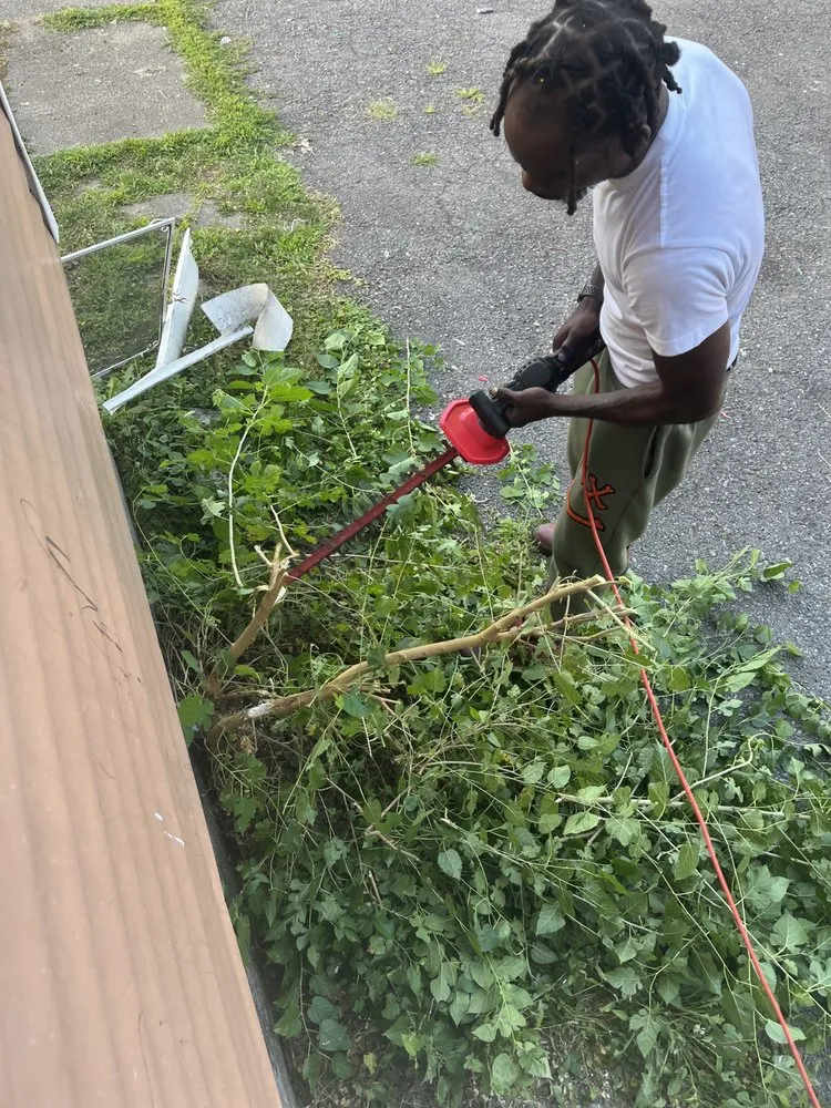 Local yard cleanup service in Syracuse, NY - Ree’s Stone Flourish and Bloom