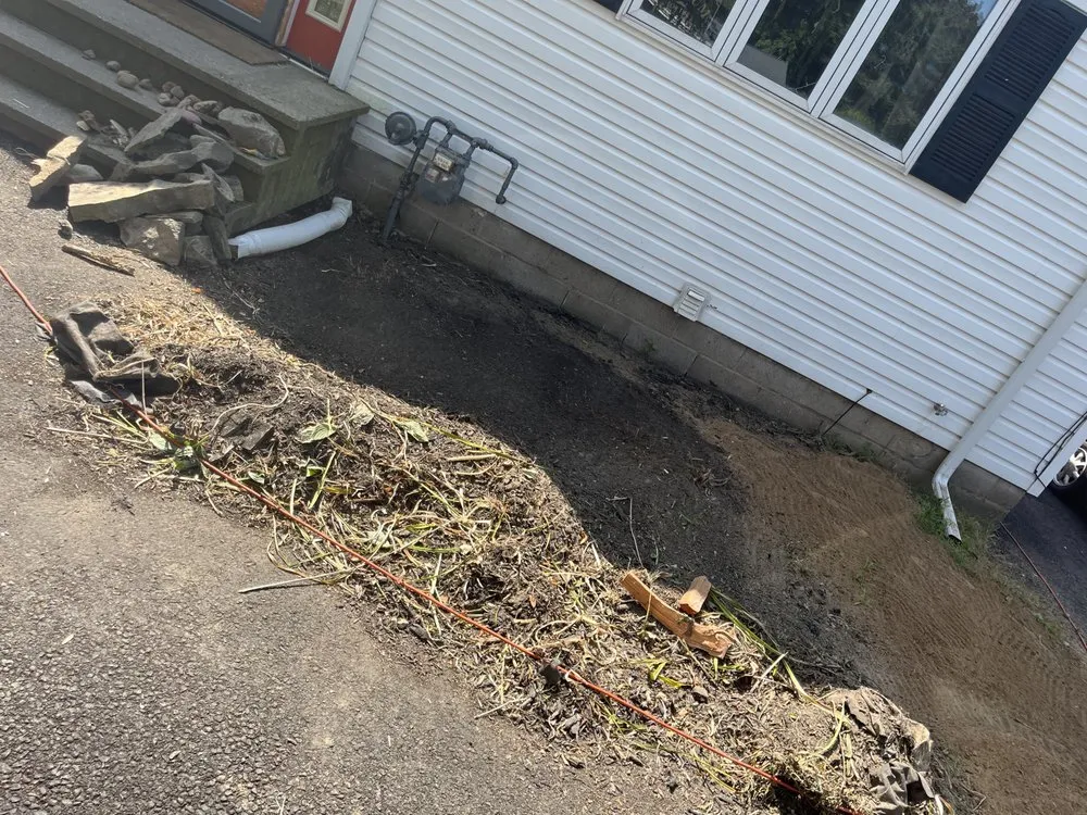 Reliable yard maintenance in Syracuse, NY by Ree’s Stone Flourish and Bloom