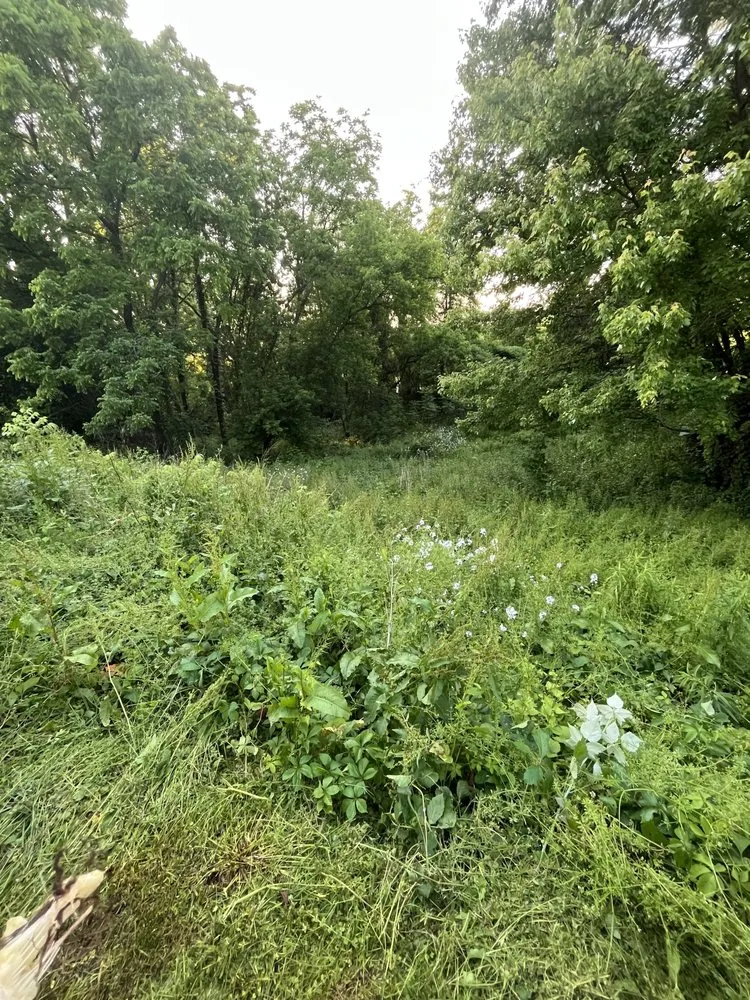 Professional landscaping services in Syracuse, NY by Ree’s Stone Flourish and Bloom