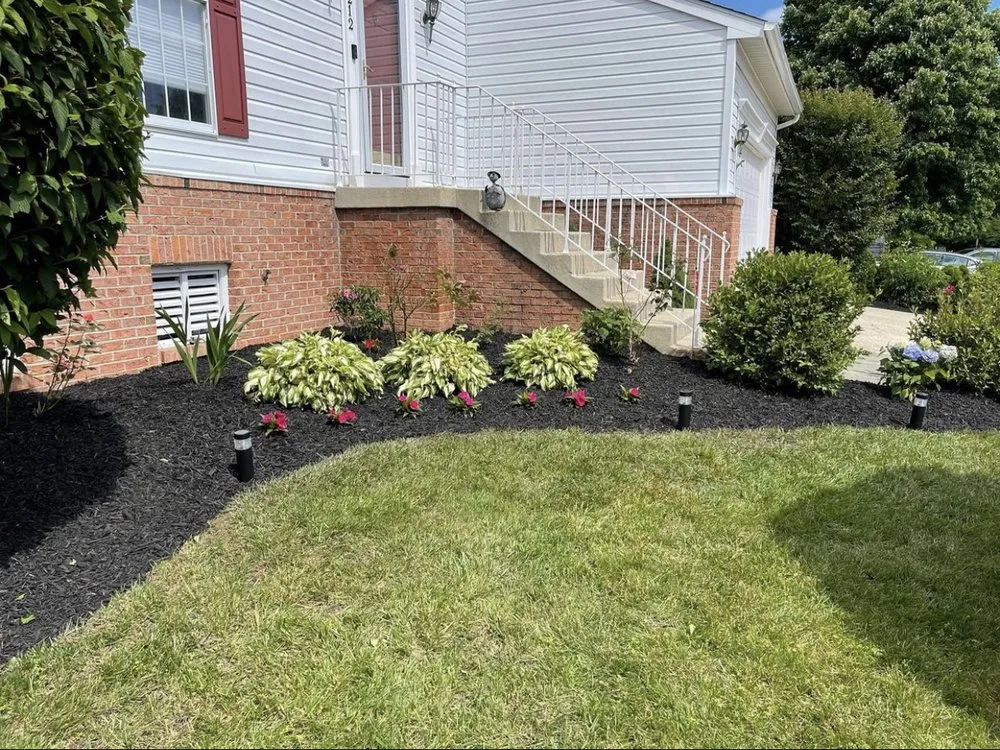 Top-rated yard maintenance in Greenbelt, MD - Reese Contracting