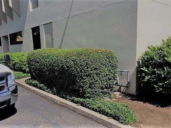 Affordable yard maintenance in Eugene, OR by Reese Landscapes