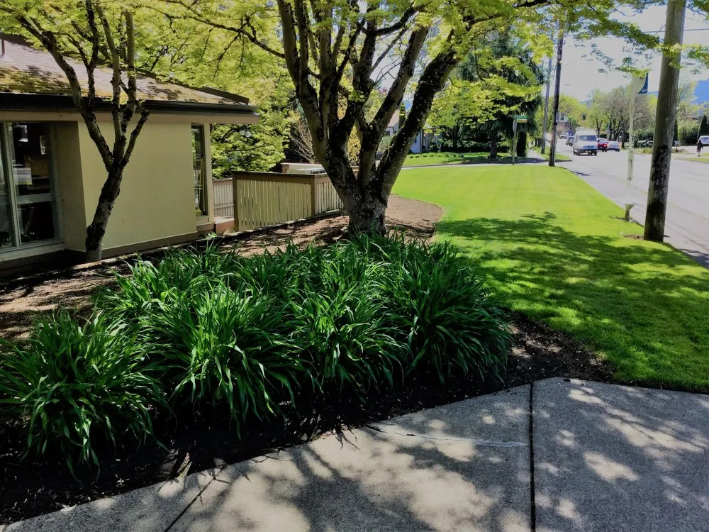 Reliable lawn care service in Eugene, OR - Reese Landscapes