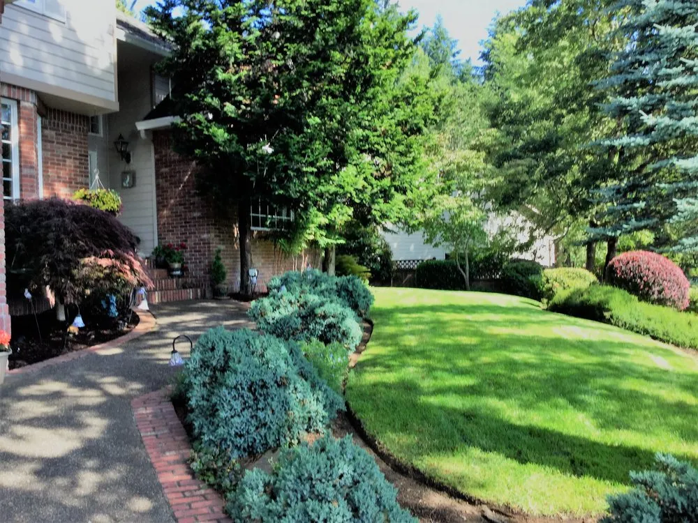 Professional lawn care service for outdoor upgrades across Eugene, OR - Reese Landscapes