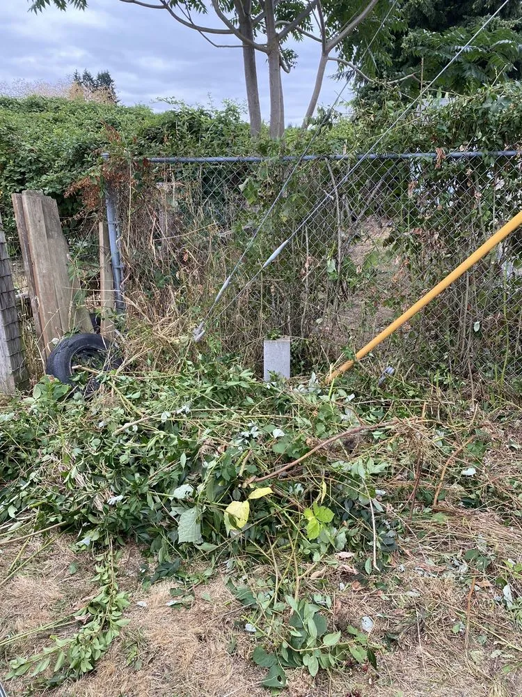 Custom landscaping services experts serving Eugene, OR - Reese Landscapes