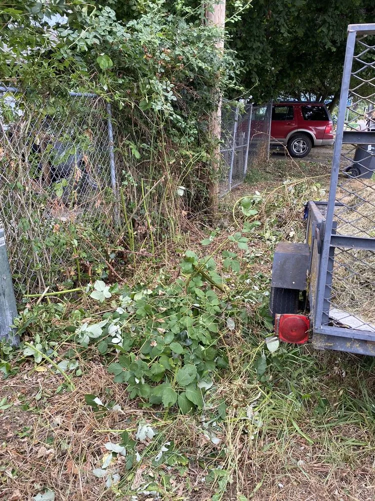 Reliable lawn mowing service experts serving Eugene, OR - Reese Landscapes