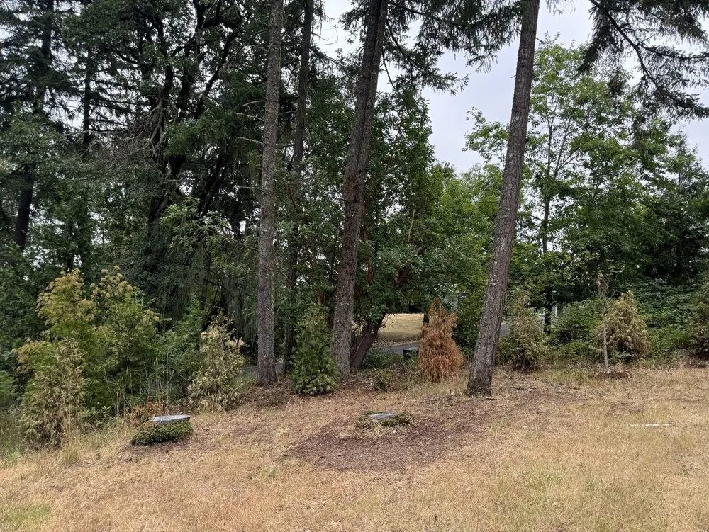 Trusted landscape installation for year-round maintenance across Eugene, OR - Reese Landscapes