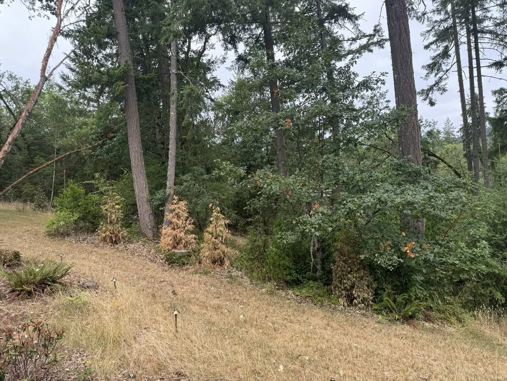 Custom yard maintenance experts serving Eugene, OR - Reese Landscapes