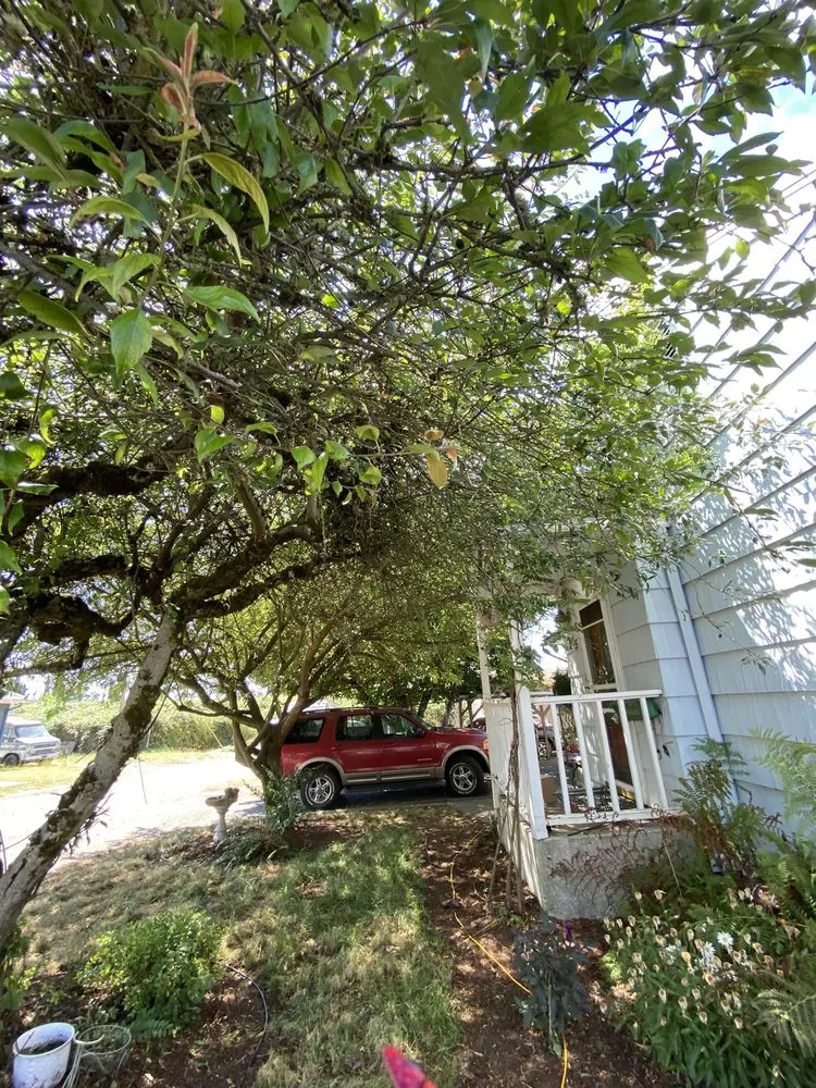 Top-rated residential landscaping for homes in Eugene, OR by Reese Landscapes