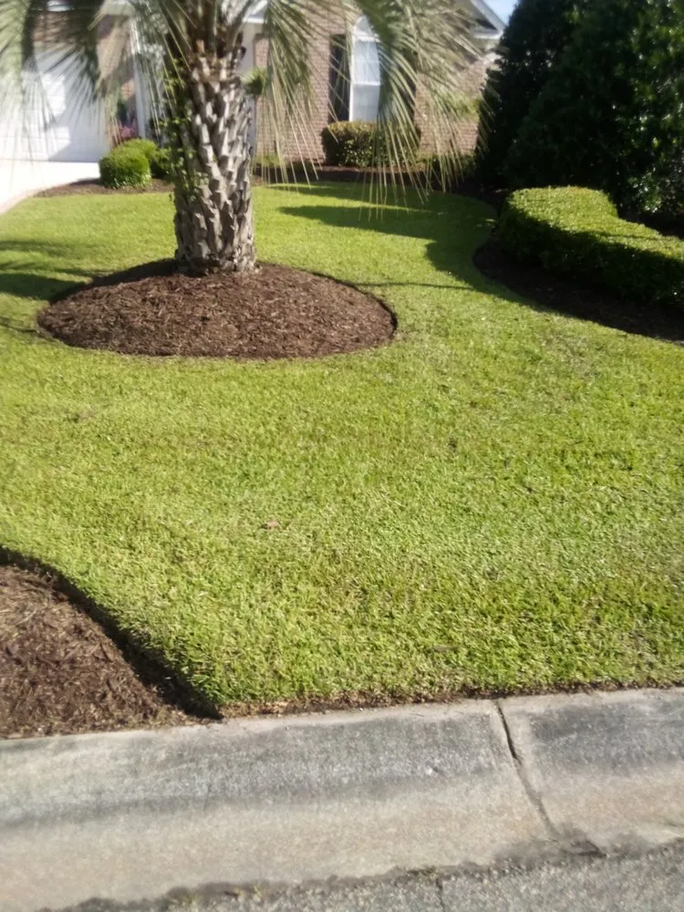 Expert residential landscaping for outdoor upgrades across Little River, SC - Reese Landscaping and Pressure Washing