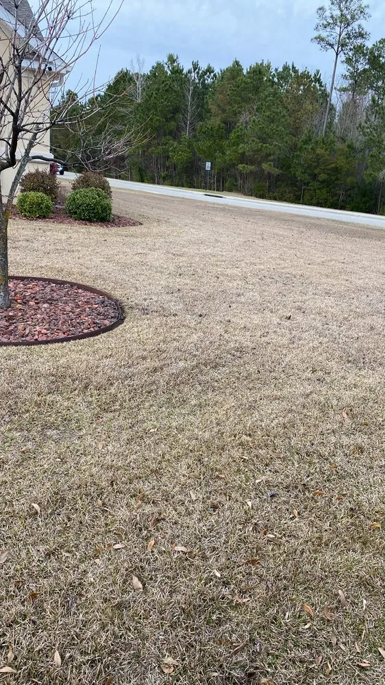 Expert landscape design experts serving Little River, SC - Reese Landscaping and Pressure Washing