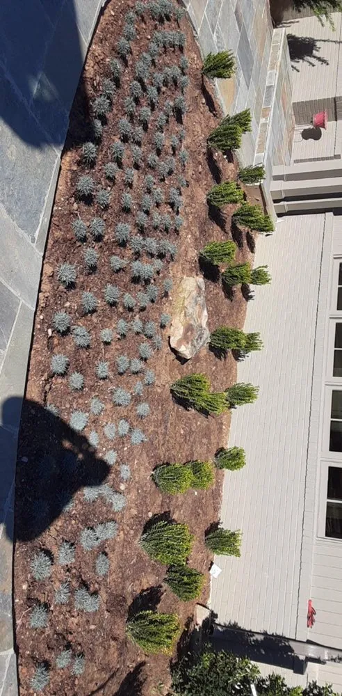 Top-rated yard maintenance experts serving Birmingham, AL - Reese Lawn Services