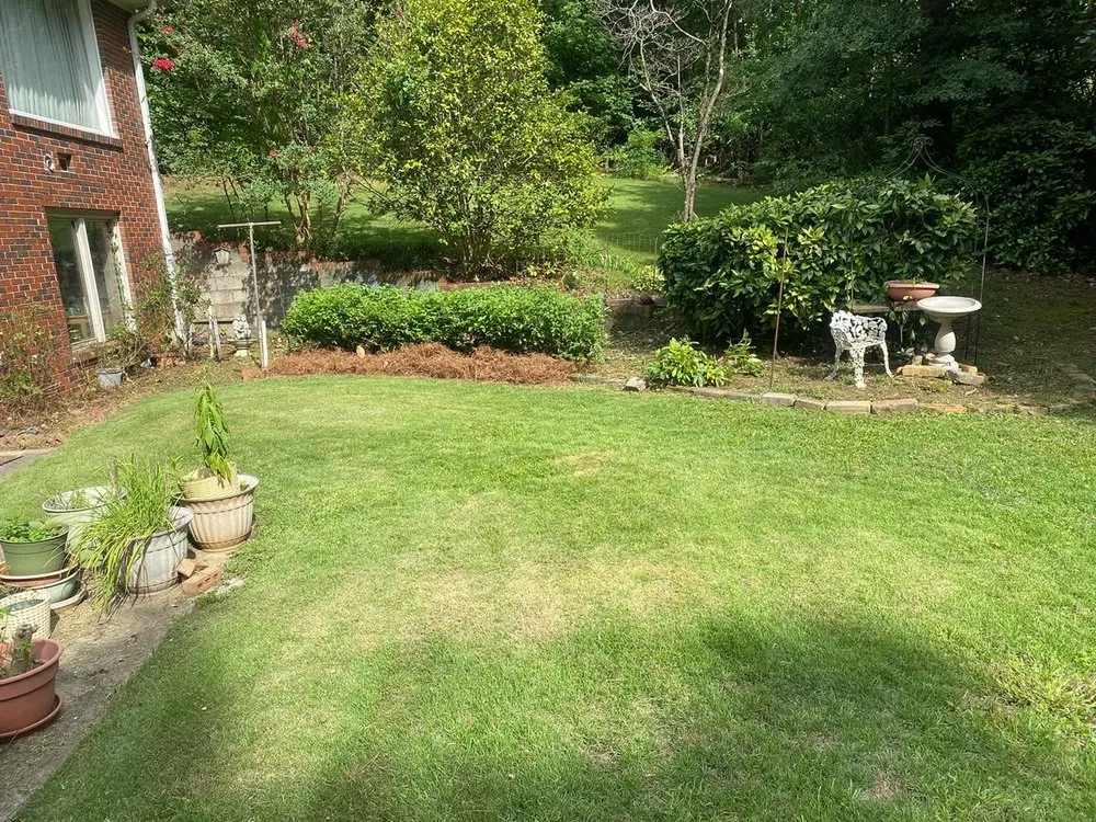 Affordable yard cleanup service in Birmingham, AL - Reese Lawn Services