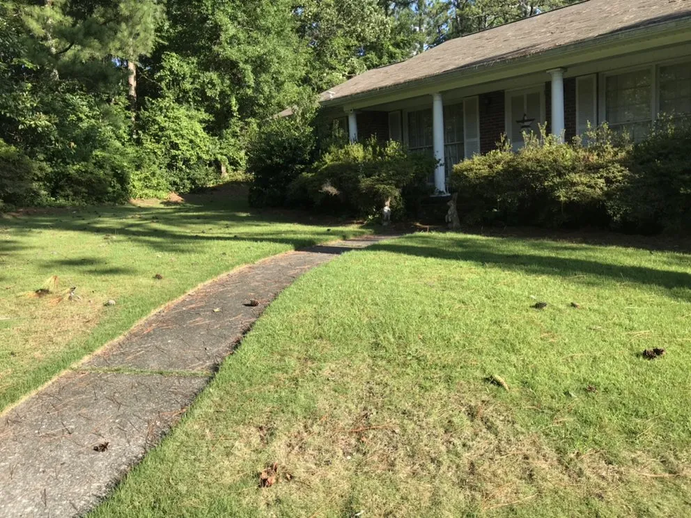 Top-rated yard cleanup service in Birmingham, AL - Reese Lawn Services