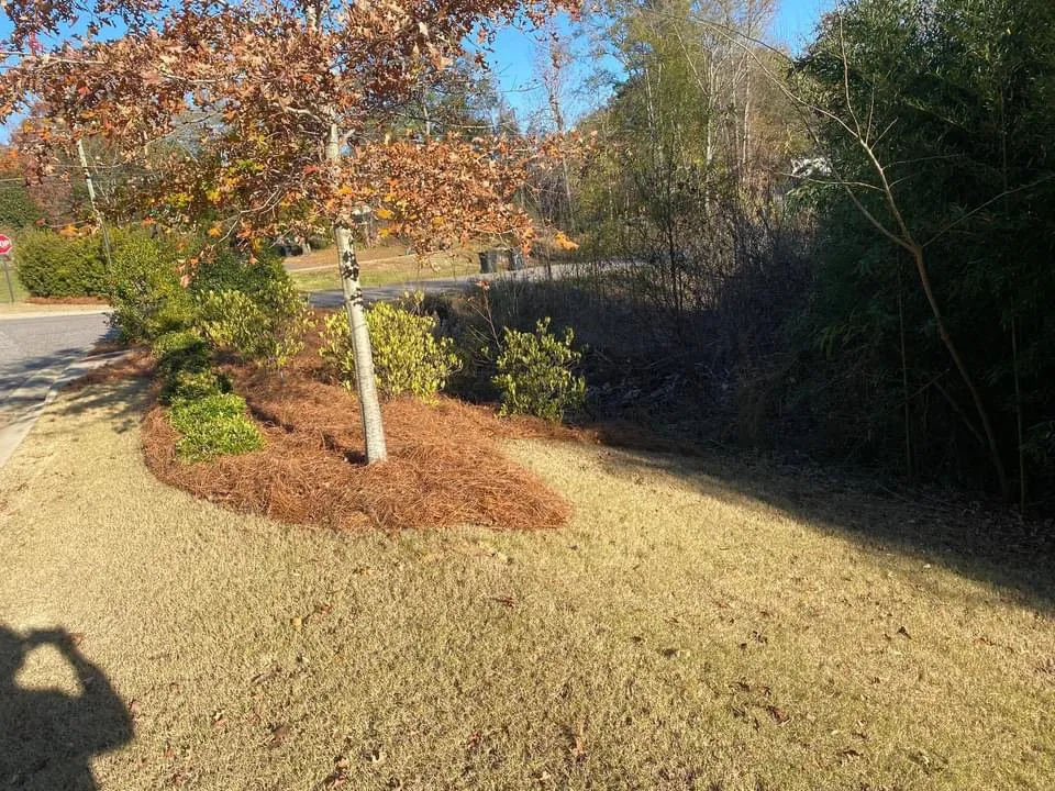 Local yard cleanup service in Birmingham, AL by Reese Lawn Services