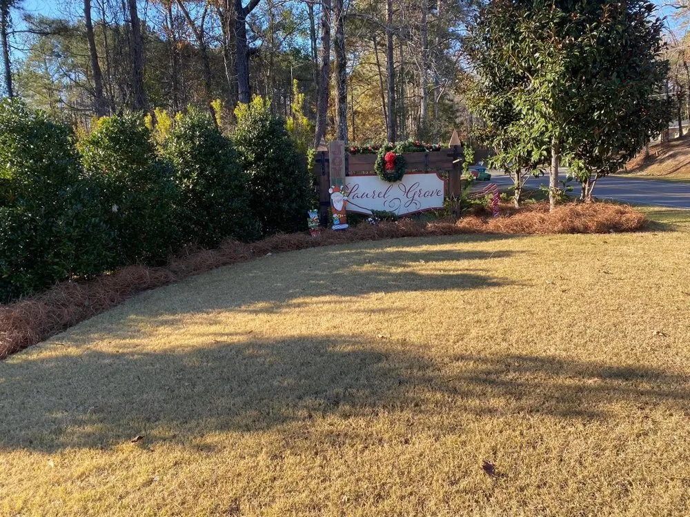 Custom yard cleanup service experts serving Birmingham, AL - Reese Lawn Services