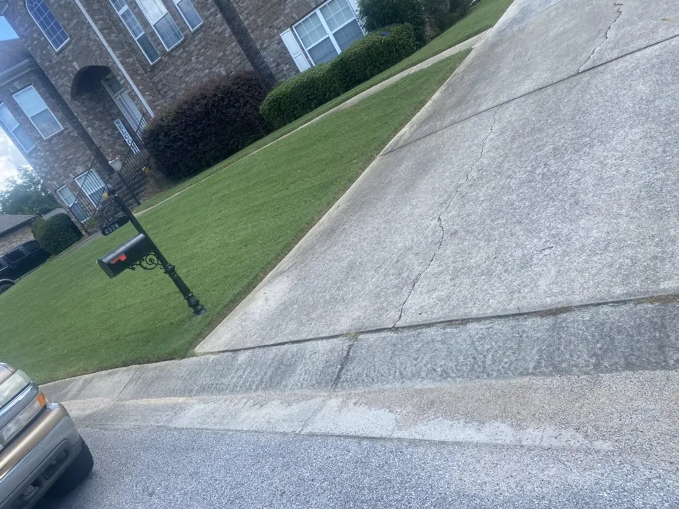 Local yard cleanup service near you in Birmingham, AL by Reese Lawn Services