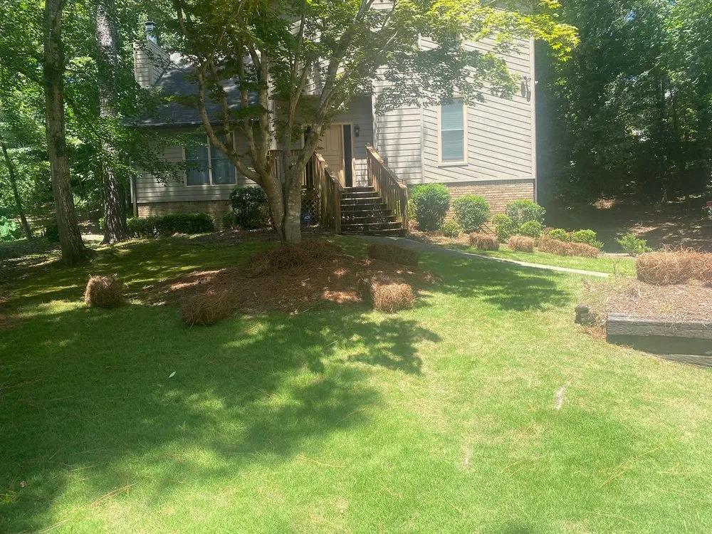 Top-rated landscaping services experts serving Birmingham, AL - Reese Lawn Services