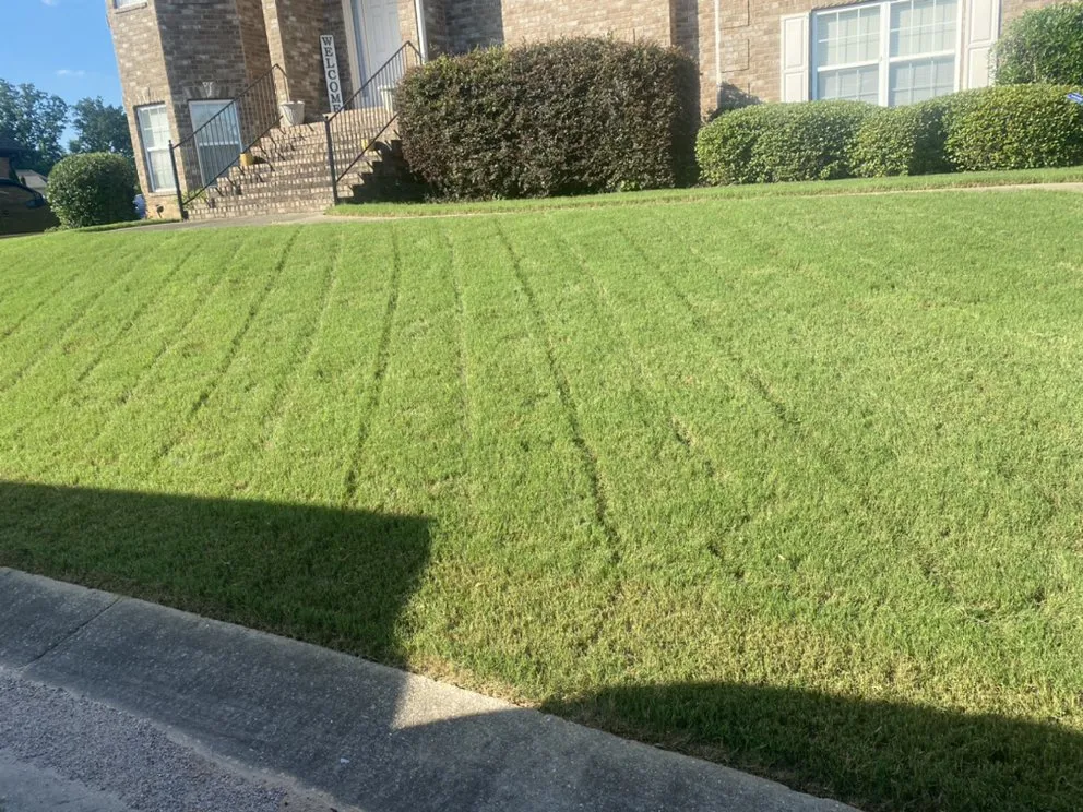 Affordable landscaping services for homes in Birmingham, AL by Reese Lawn Services