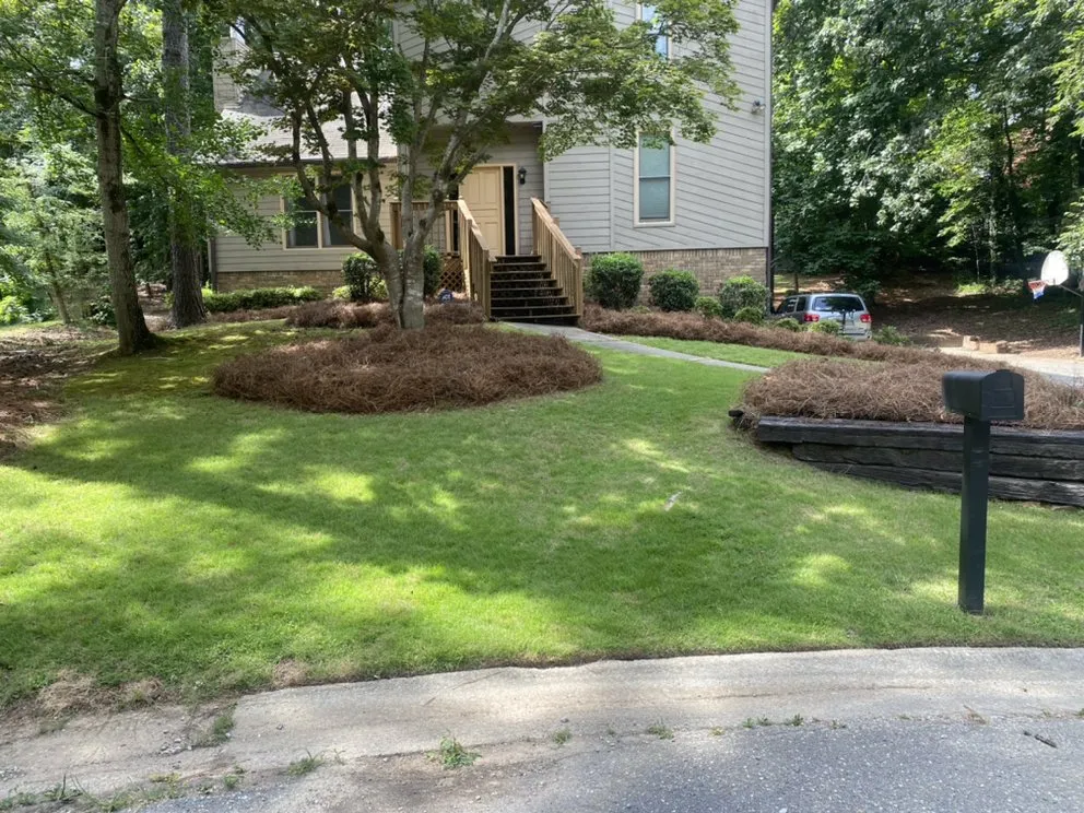 Custom landscape design in Birmingham, AL by Reese Lawn Services