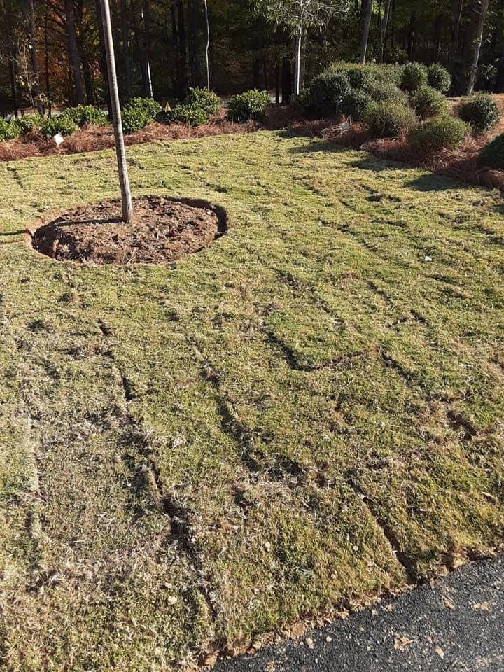 Custom residential landscaping in Birmingham, AL - Reese Lawn Services