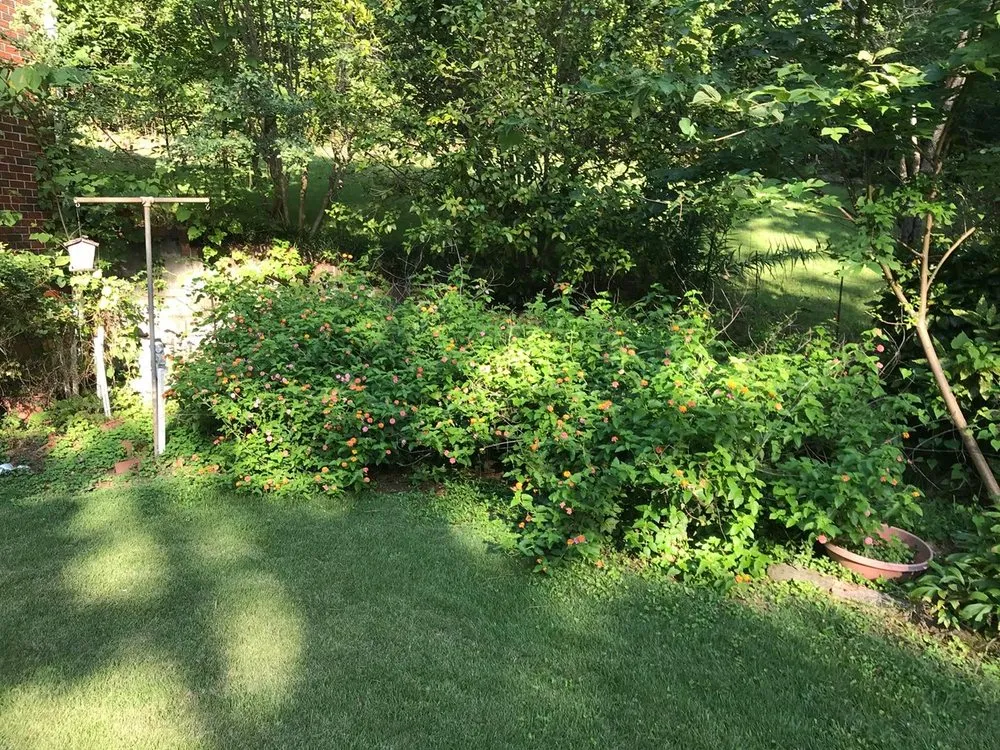 Reliable landscape installation experts serving Birmingham, AL - Reese Lawn Services