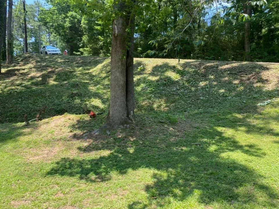 Reliable residential landscaping experts serving Birmingham, AL - Reese Lawn Services