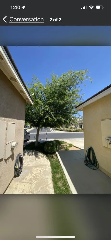 Reliable lawn mowing service for year-round maintenance in Beaumont, CA by Reese The Handy Connection