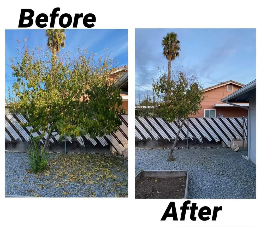 Custom lawn care service for outdoor upgrades in Beaumont, CA by Reese The Handy Connection