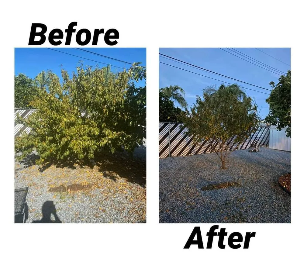 Reliable yard maintenance in Beaumont, CA - Reese The Handy Connection