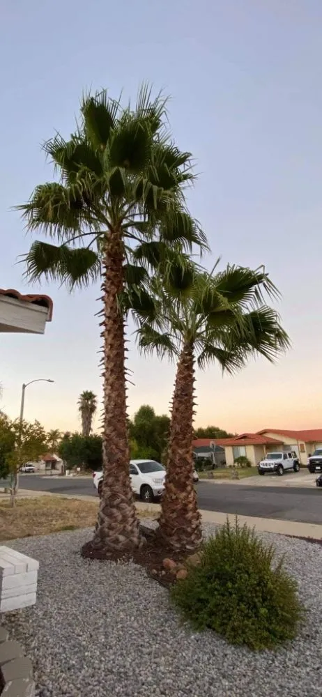 Local garden landscaping for homes in Beaumont, CA by Reese The Handy Connection